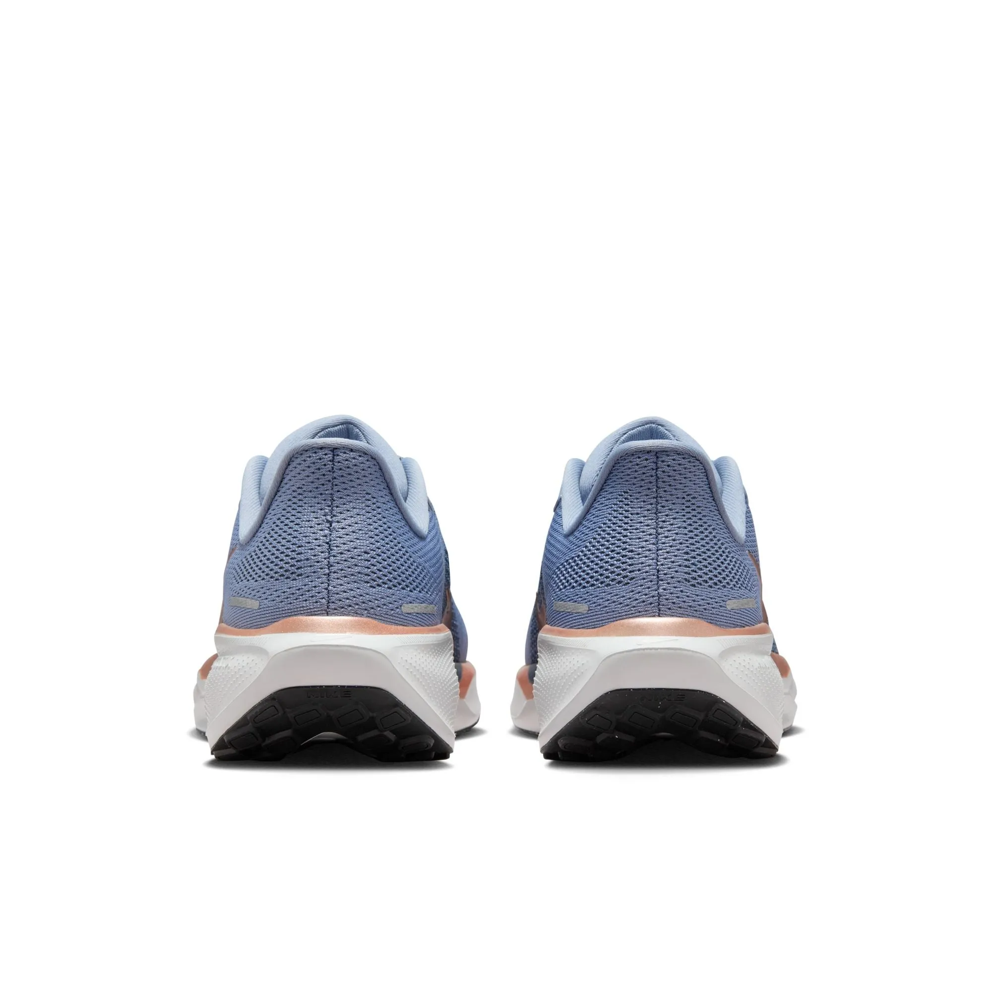 Pegasus 41