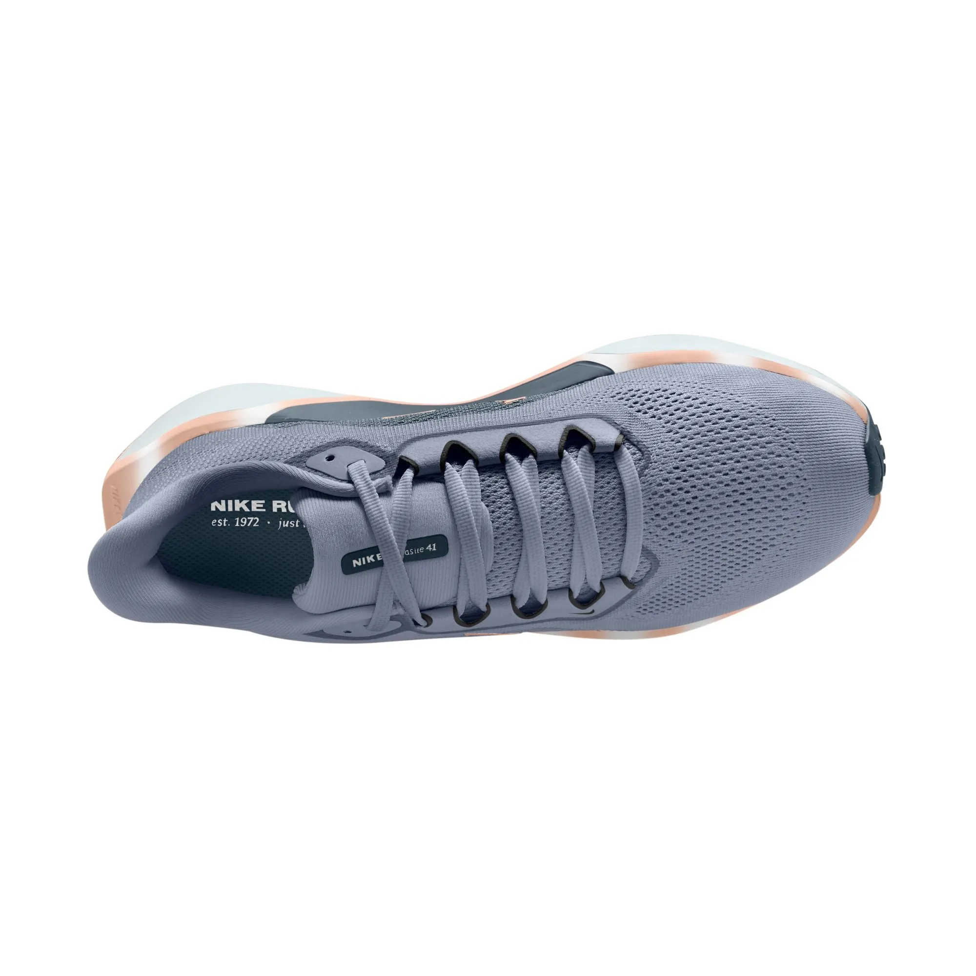 Pegasus 41