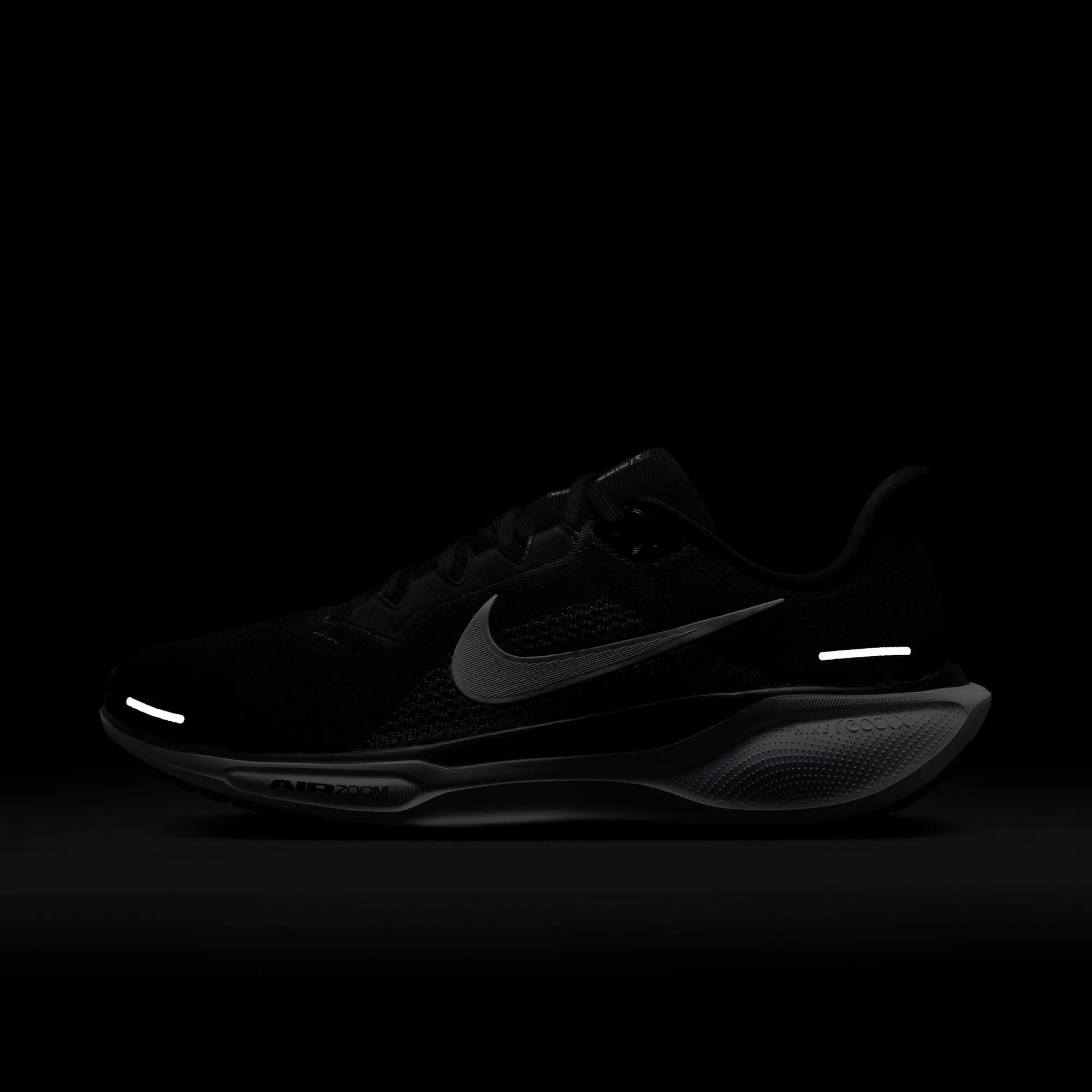Pegasus 41