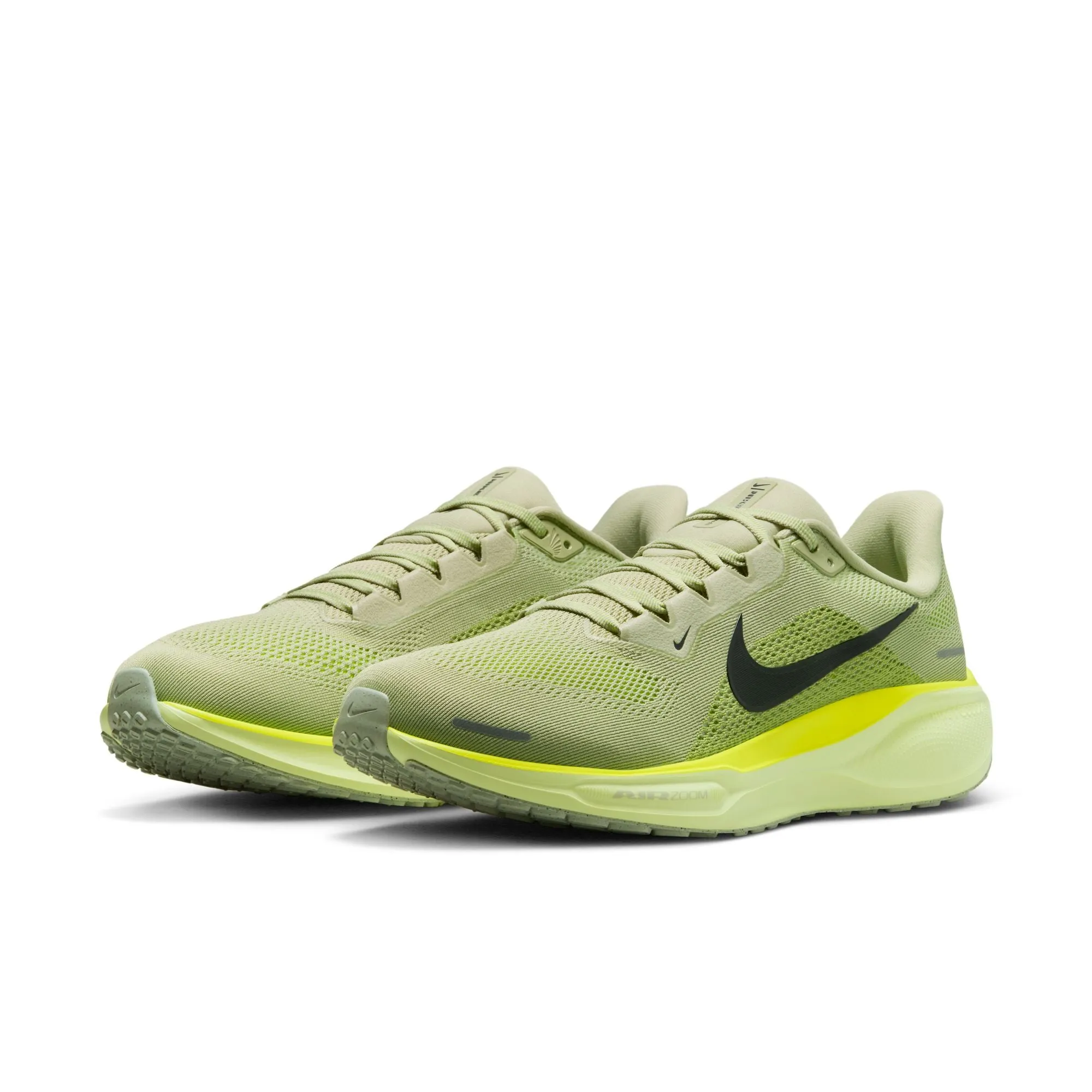 Pegasus 41
