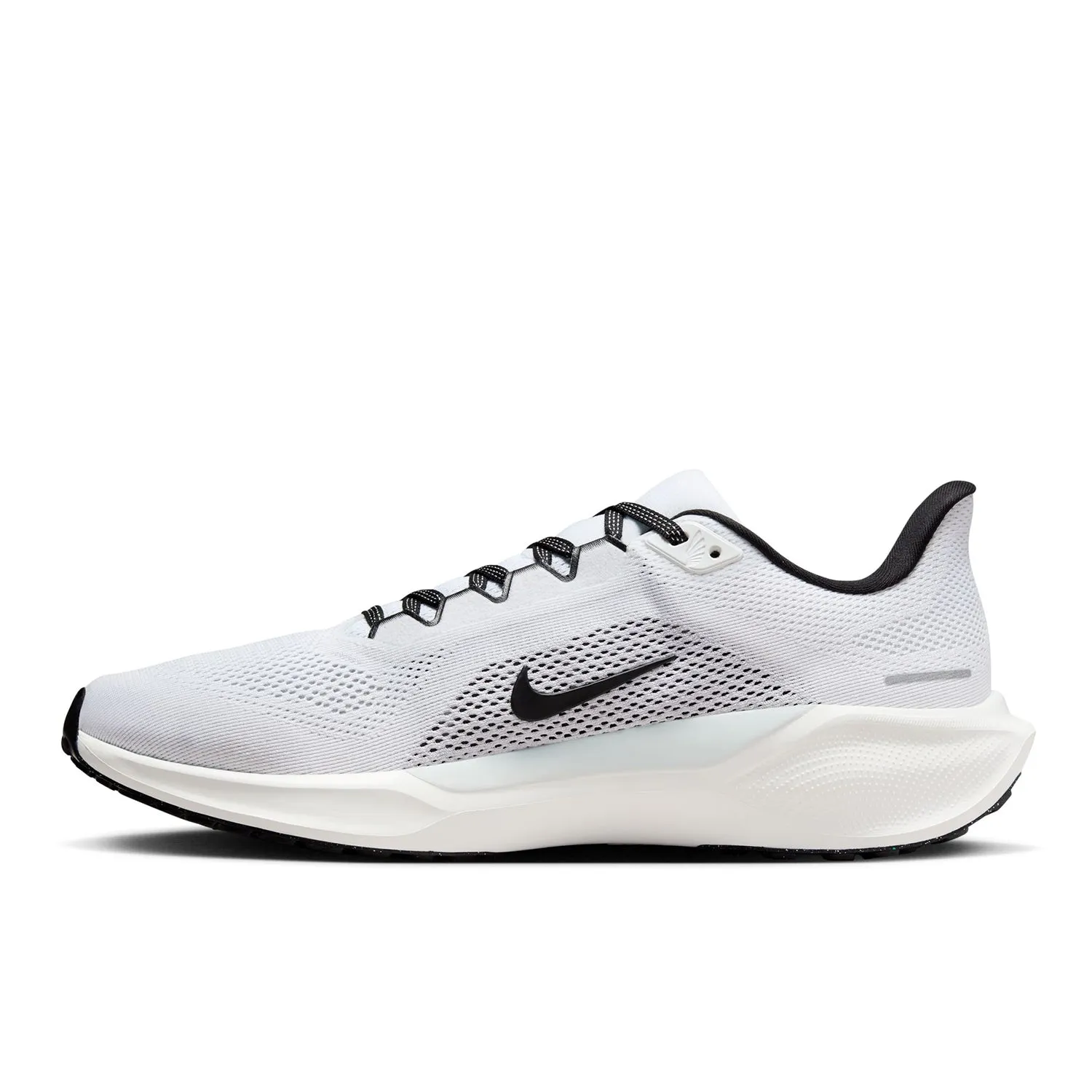 Pegasus 41
