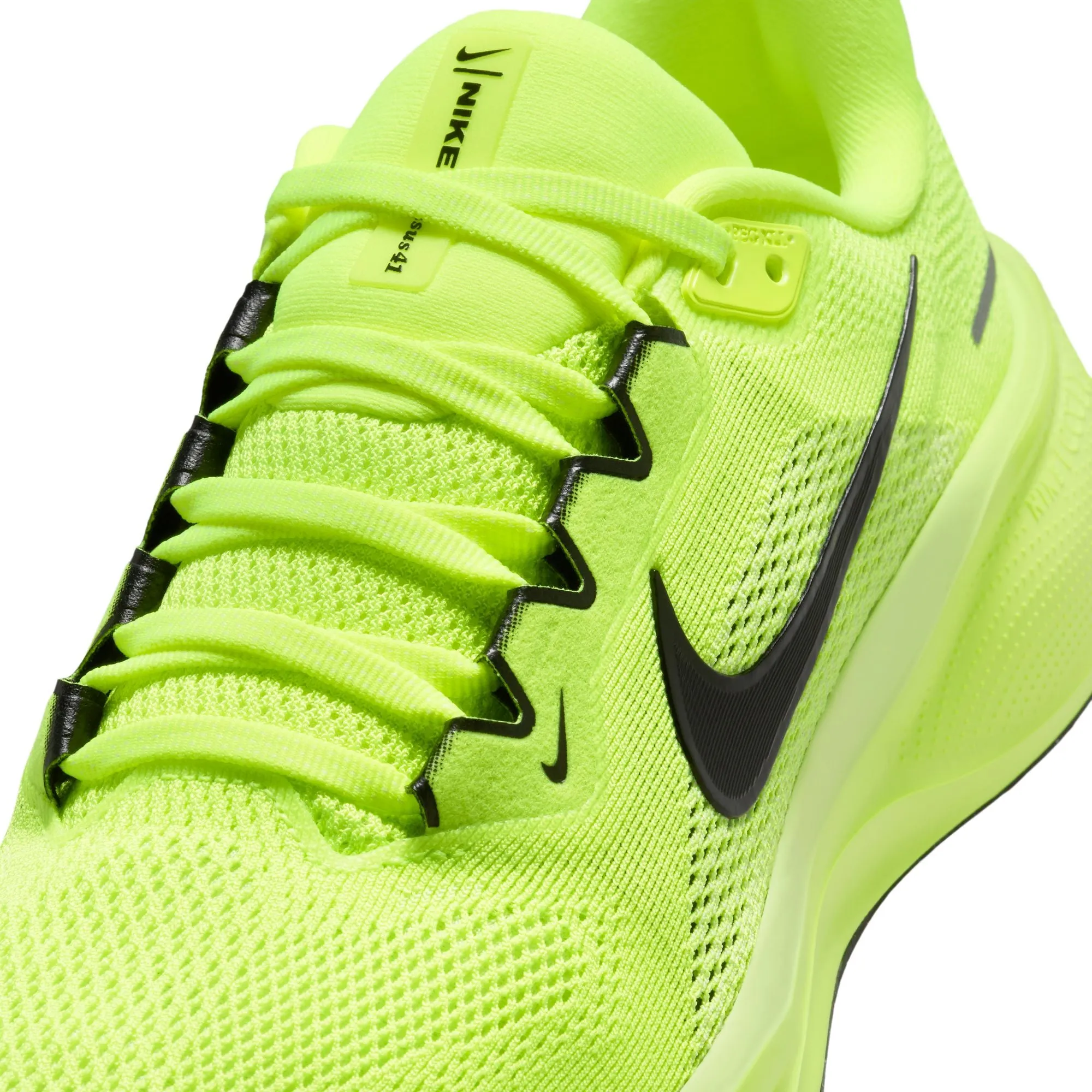 Pegasus 41