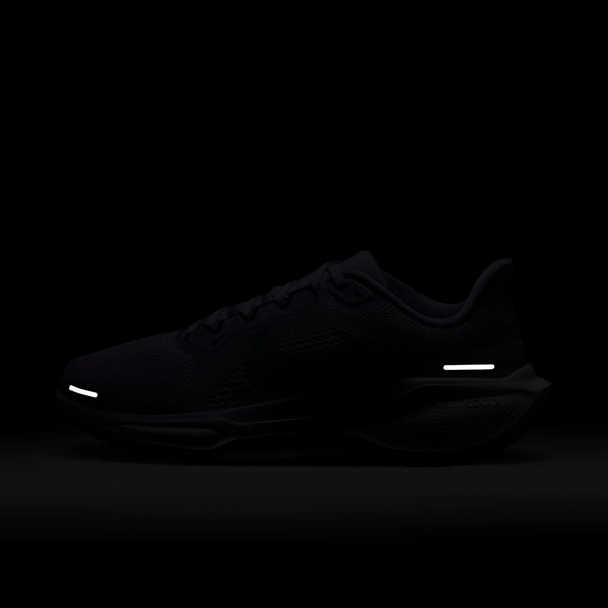 Pegasus 41