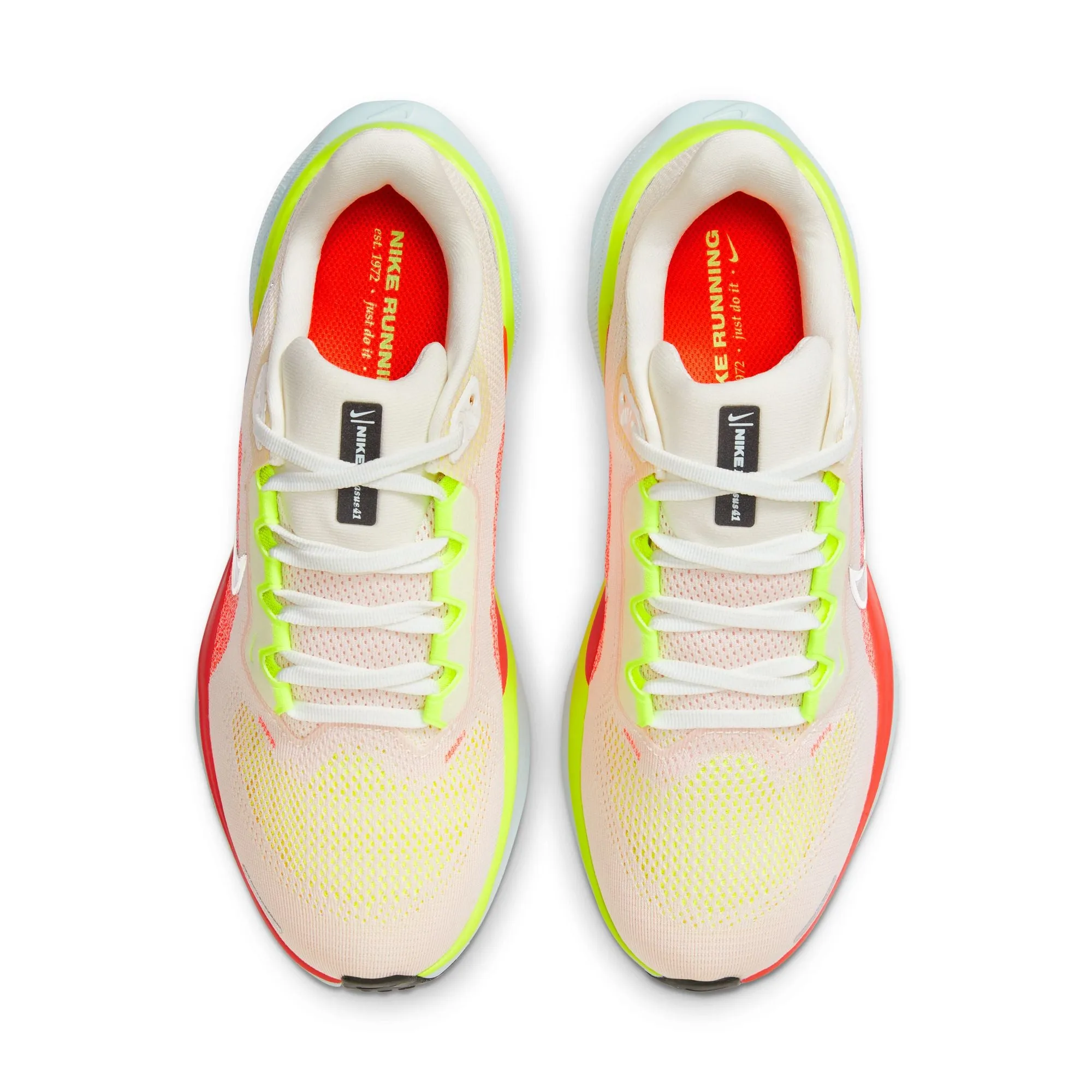 Pegasus 41