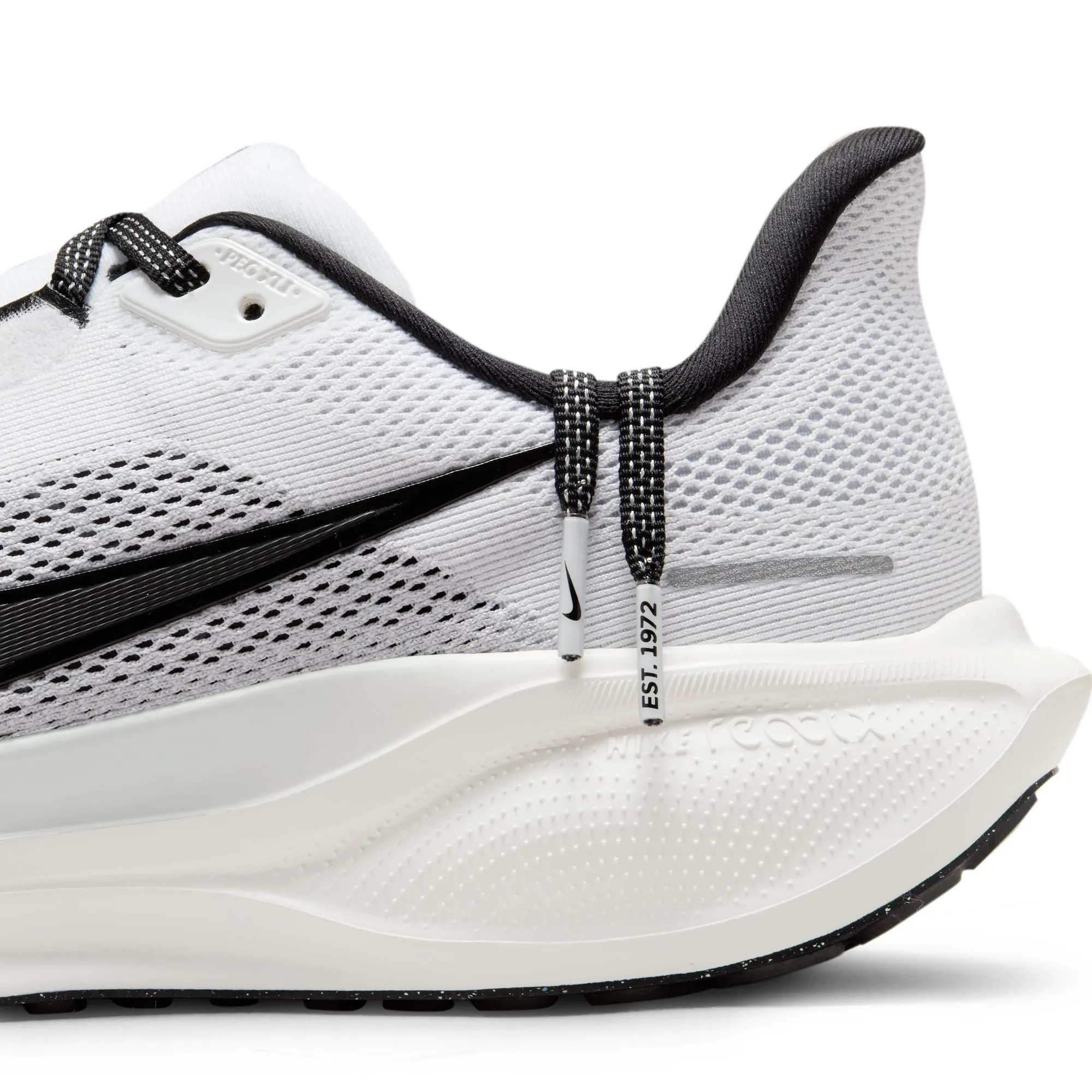 Pegasus 41