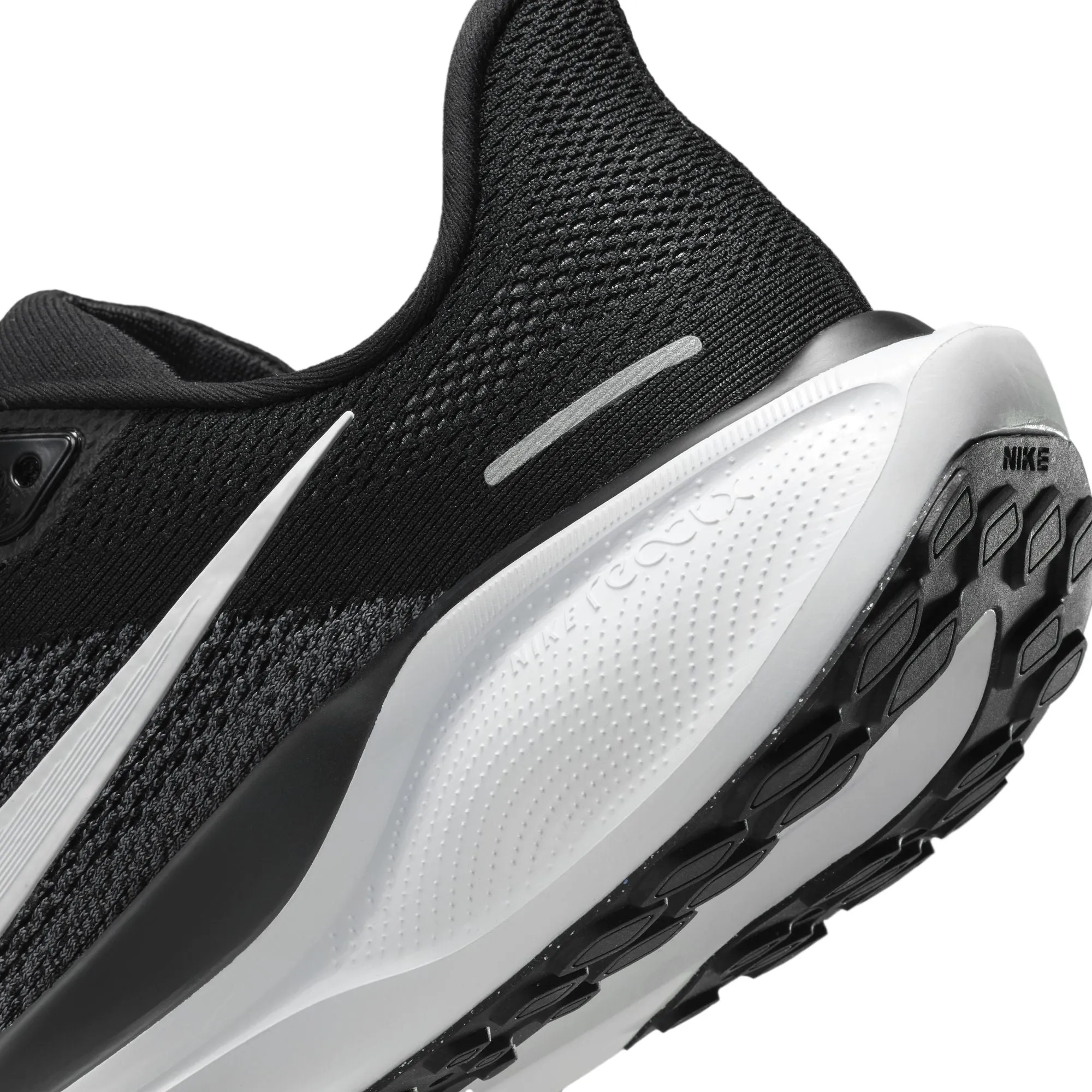 Pegasus 41