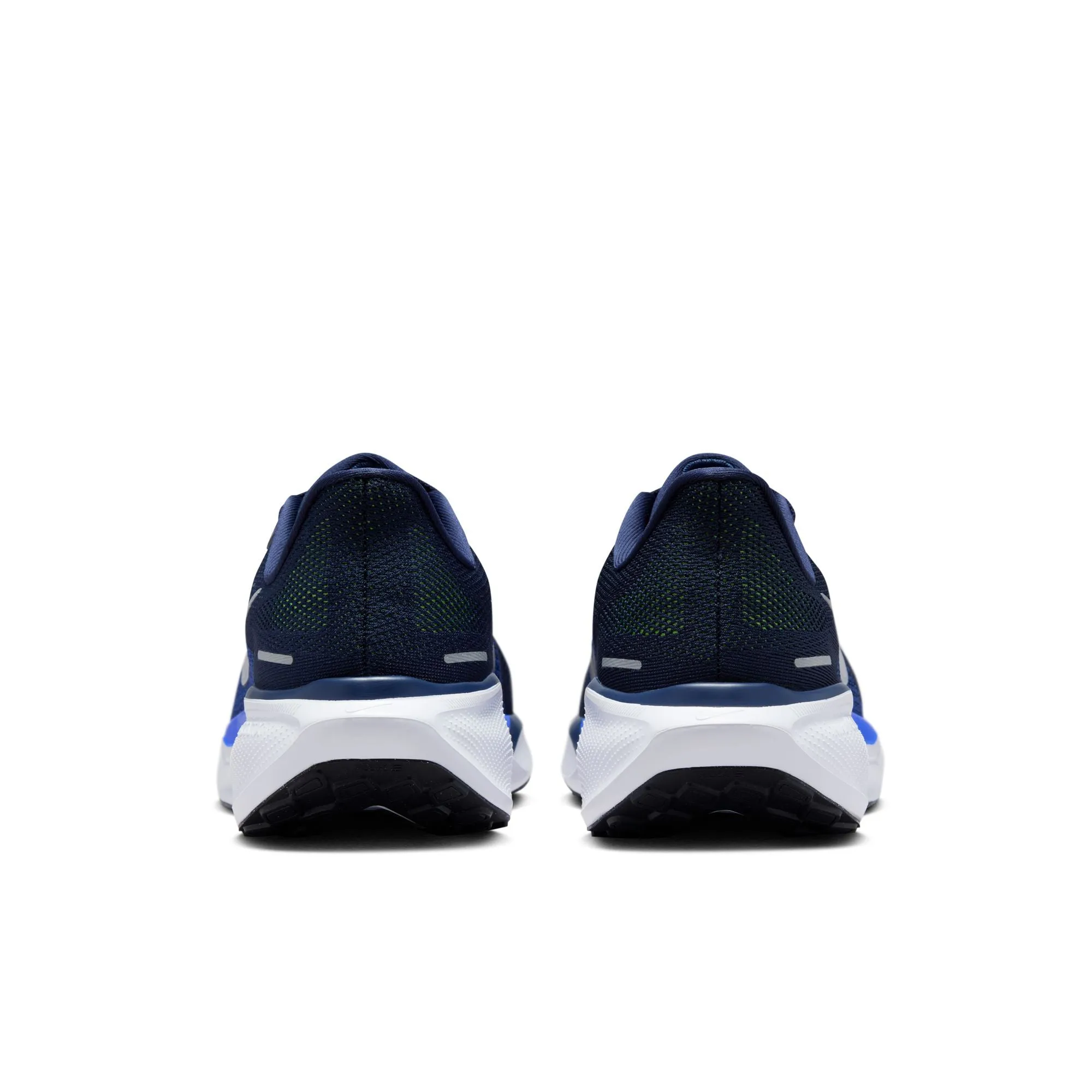 Pegasus 41