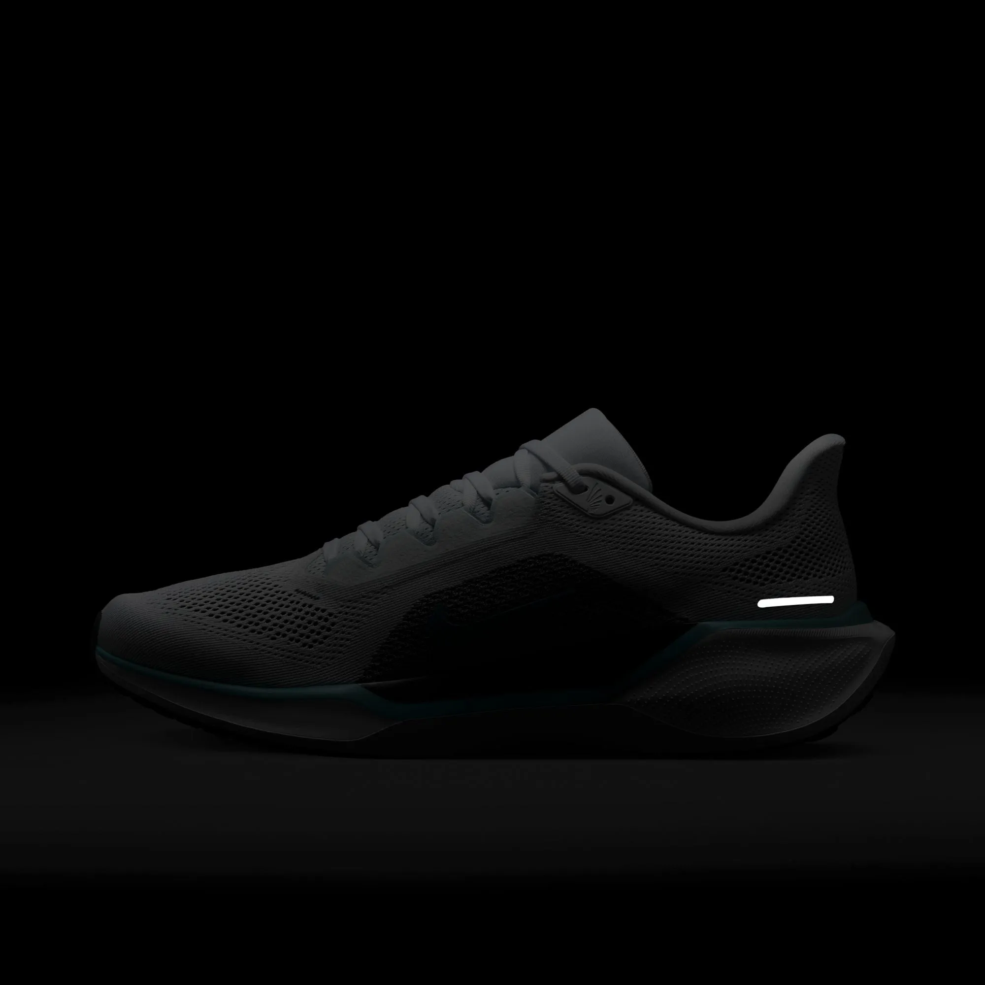 Pegasus 41