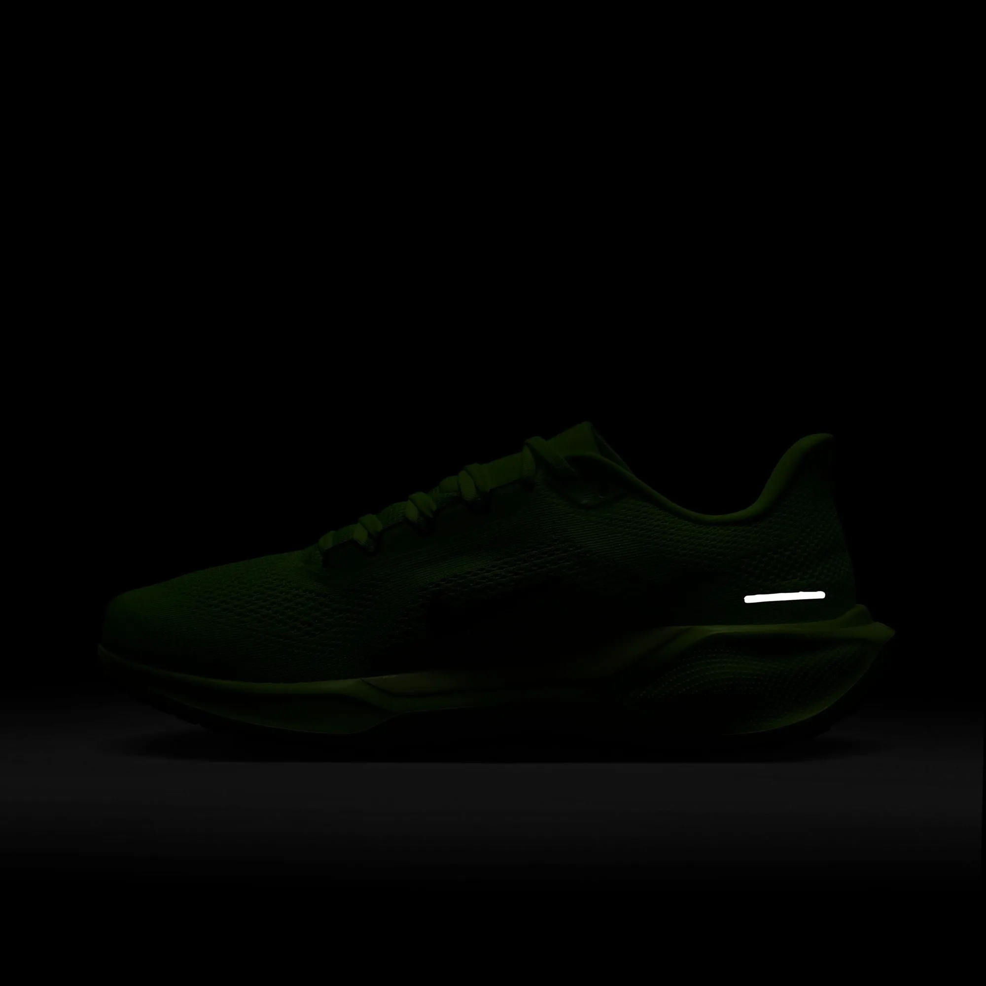 Pegasus 41