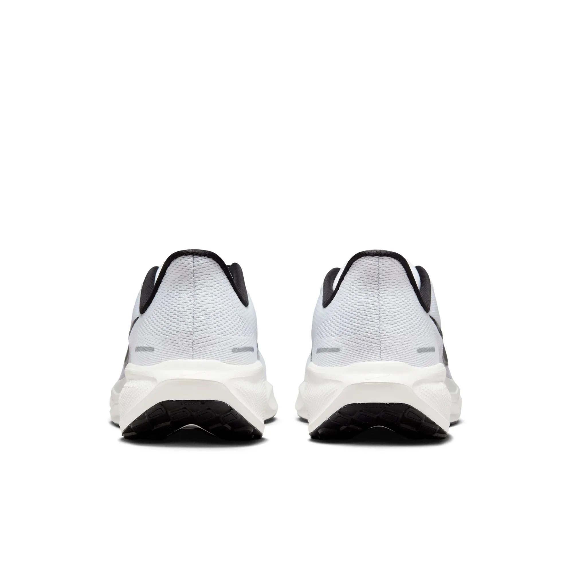 Pegasus 41