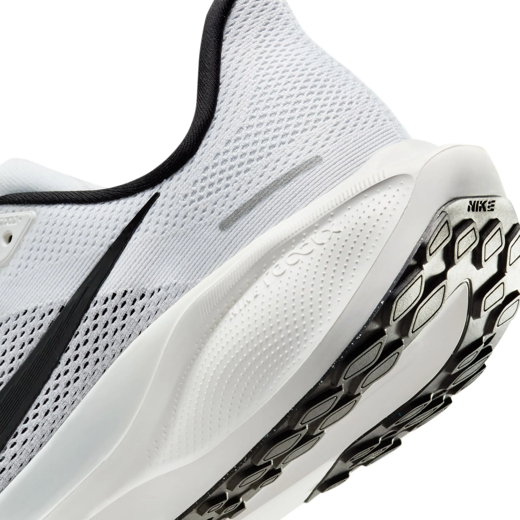 Pegasus 41