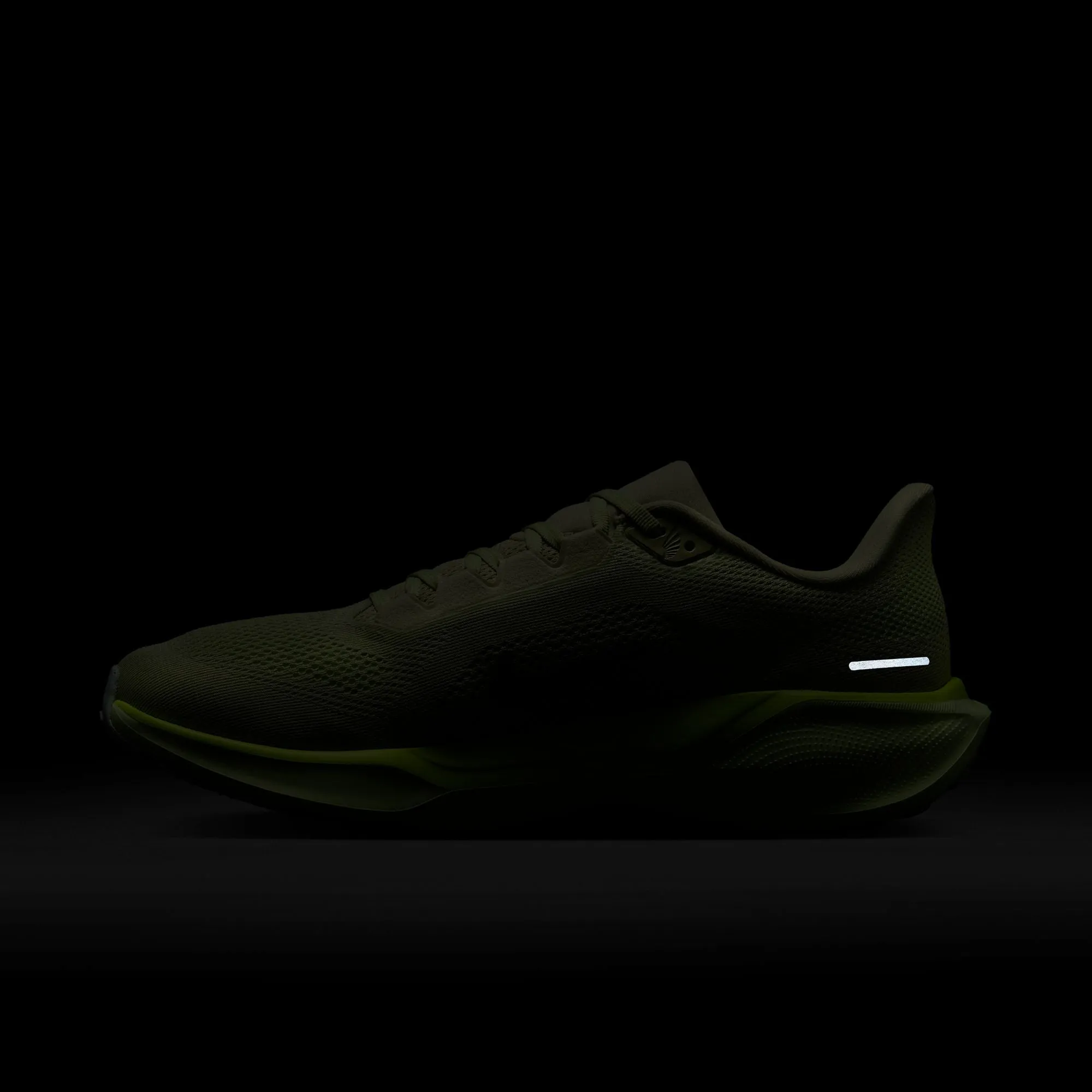 Pegasus 41