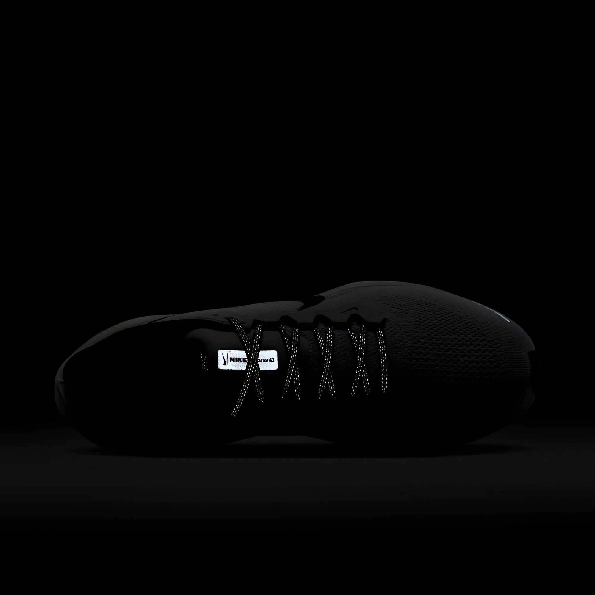 Pegasus 41