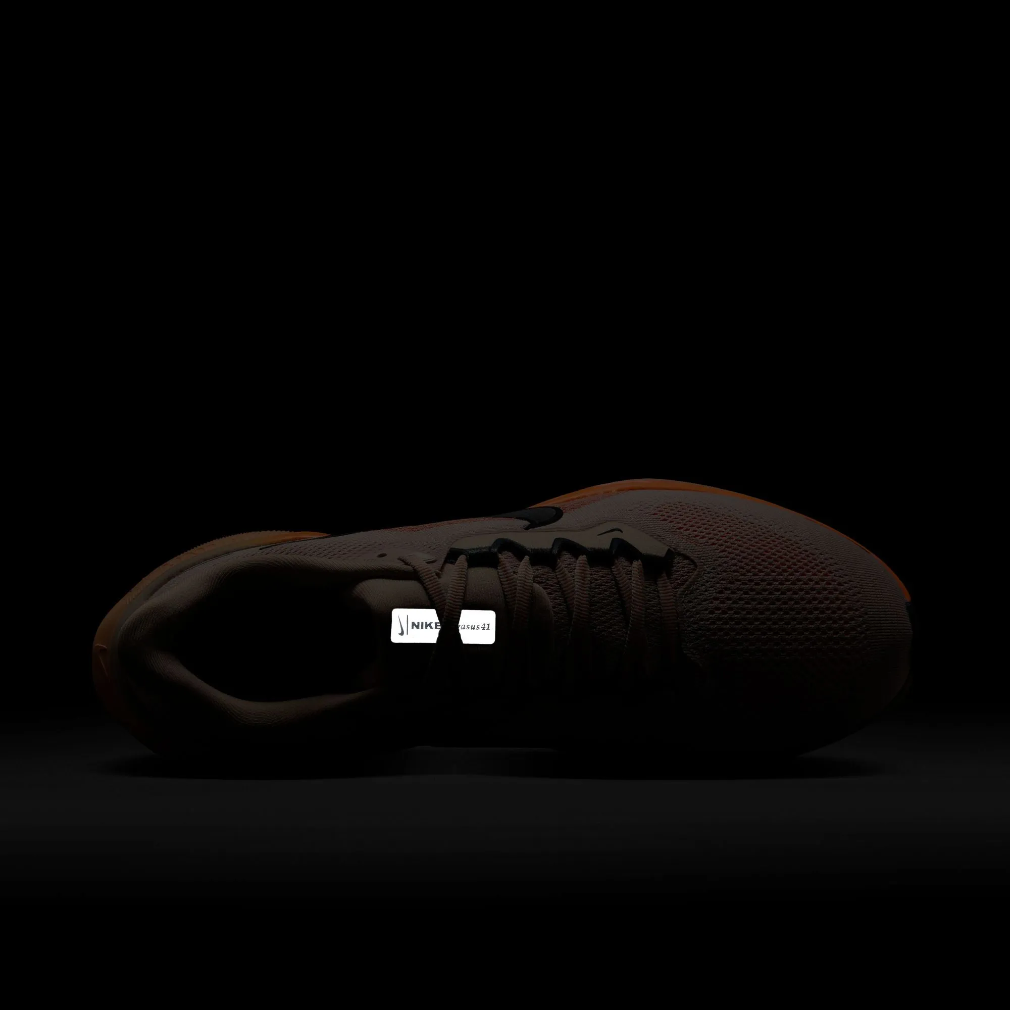Pegasus 41