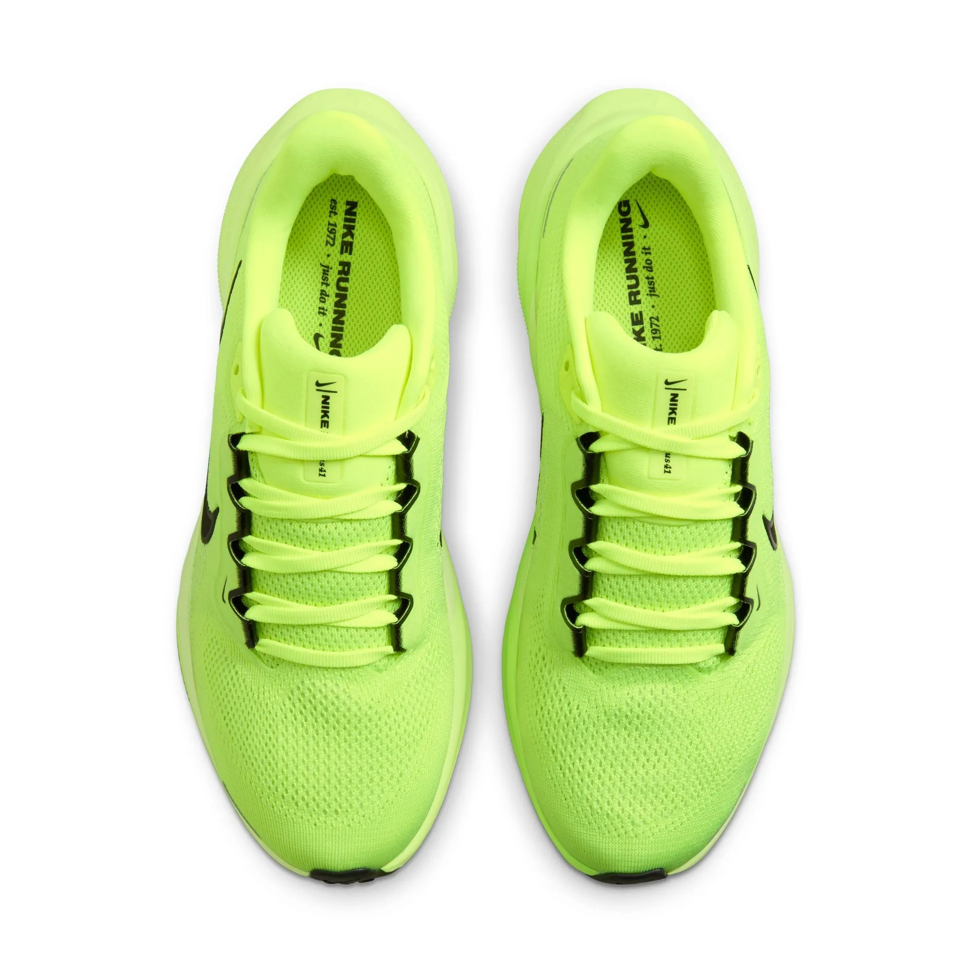 Pegasus 41