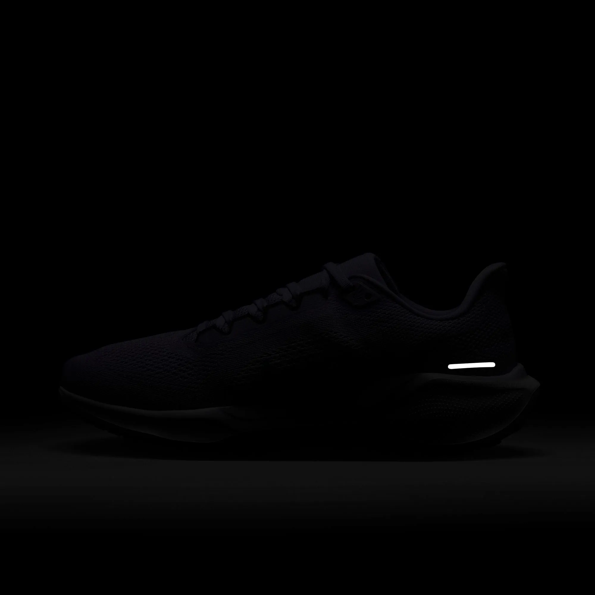 Pegasus 41