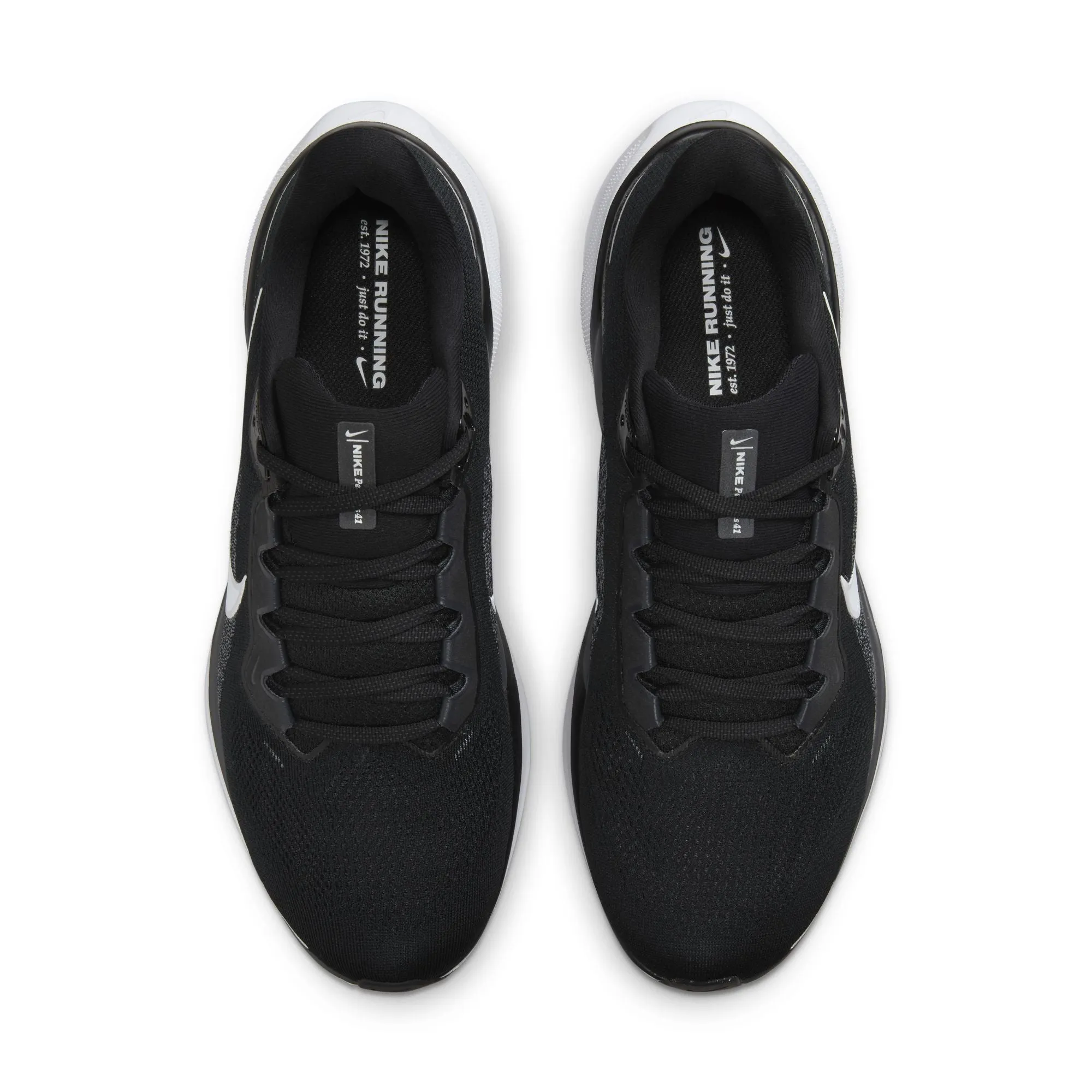 Pegasus 41