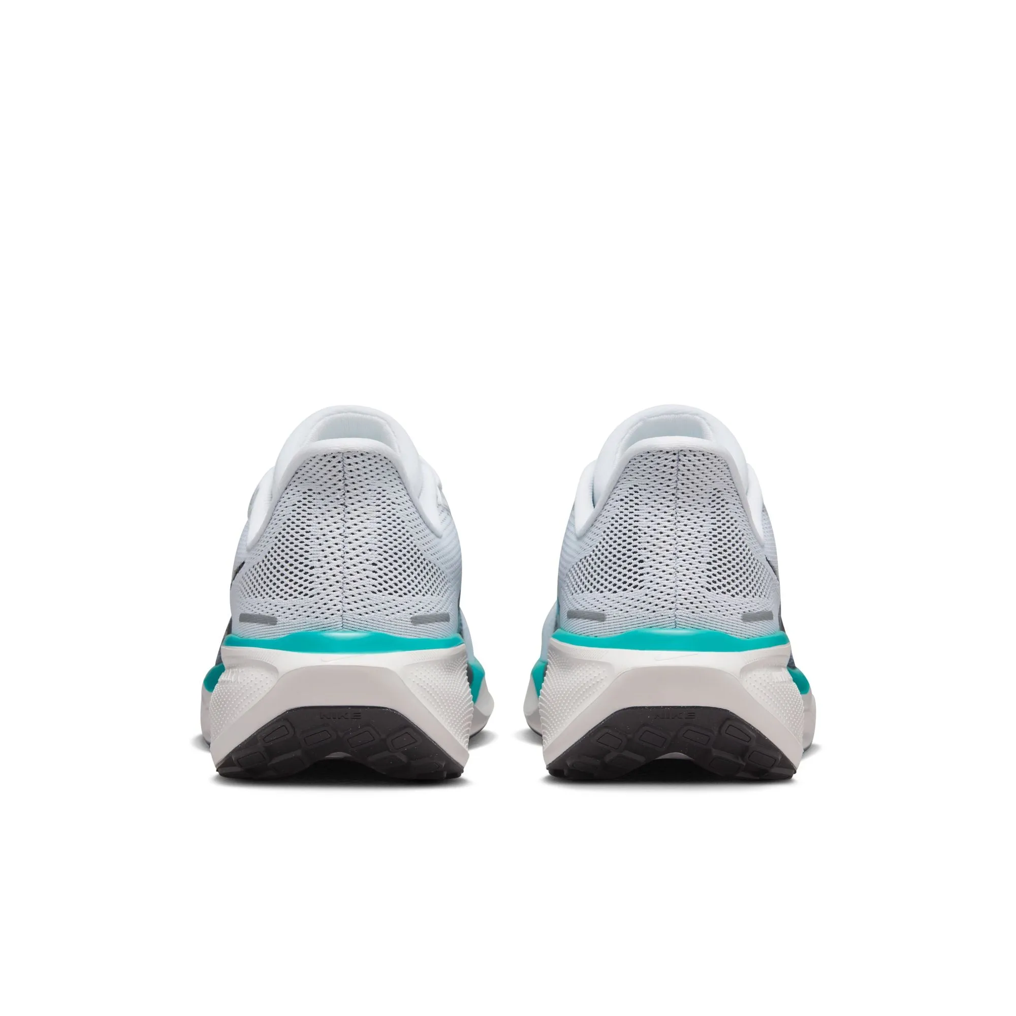Pegasus 41