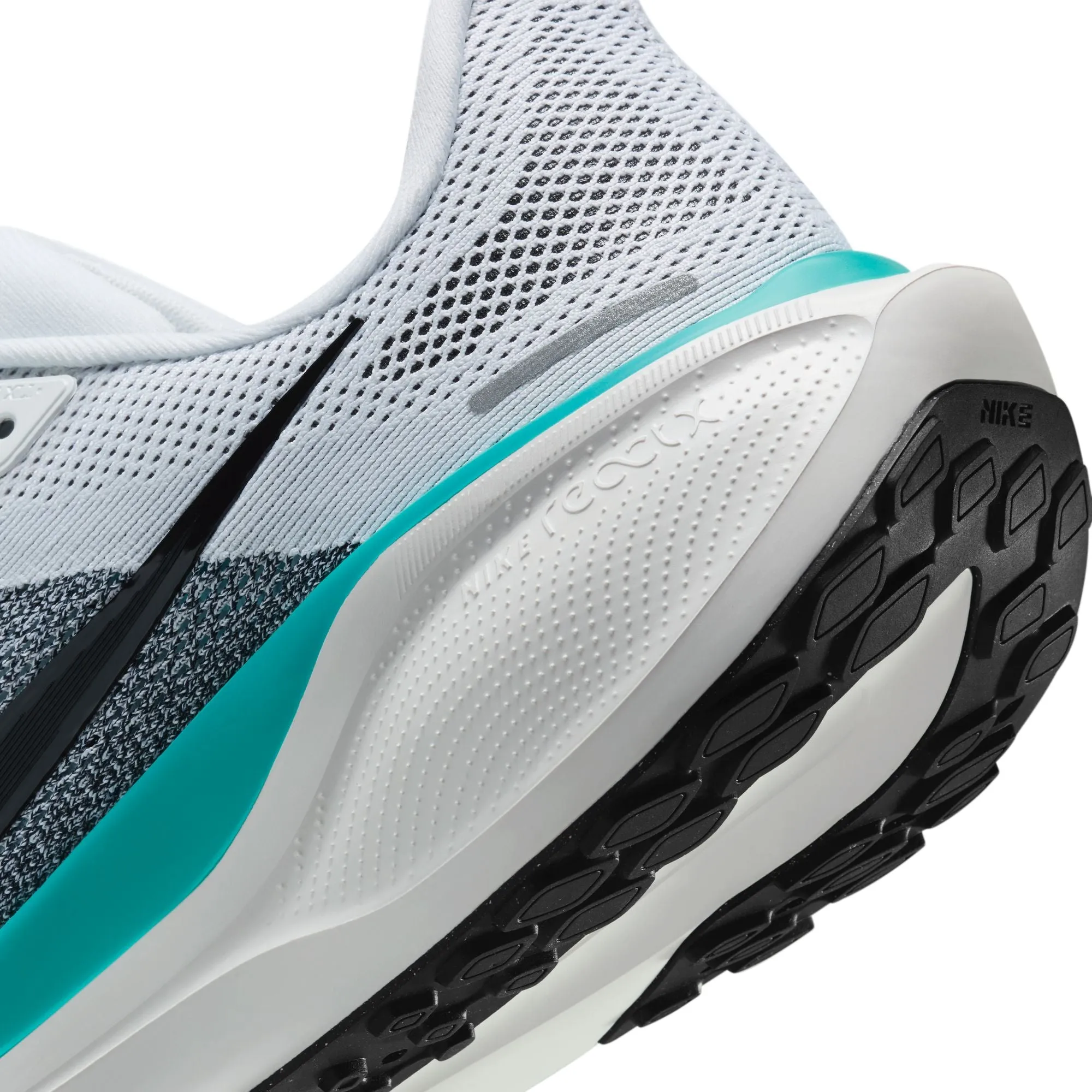 Pegasus 41