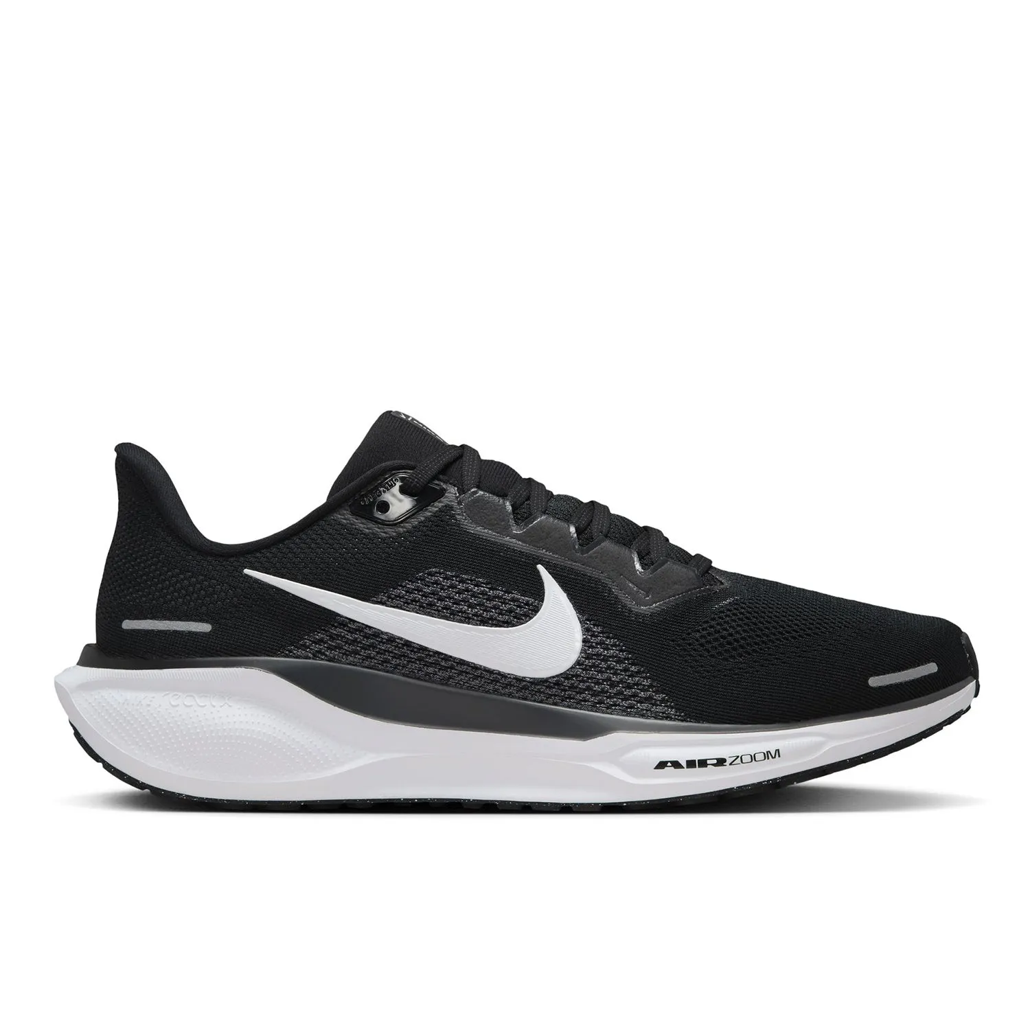 Pegasus 41