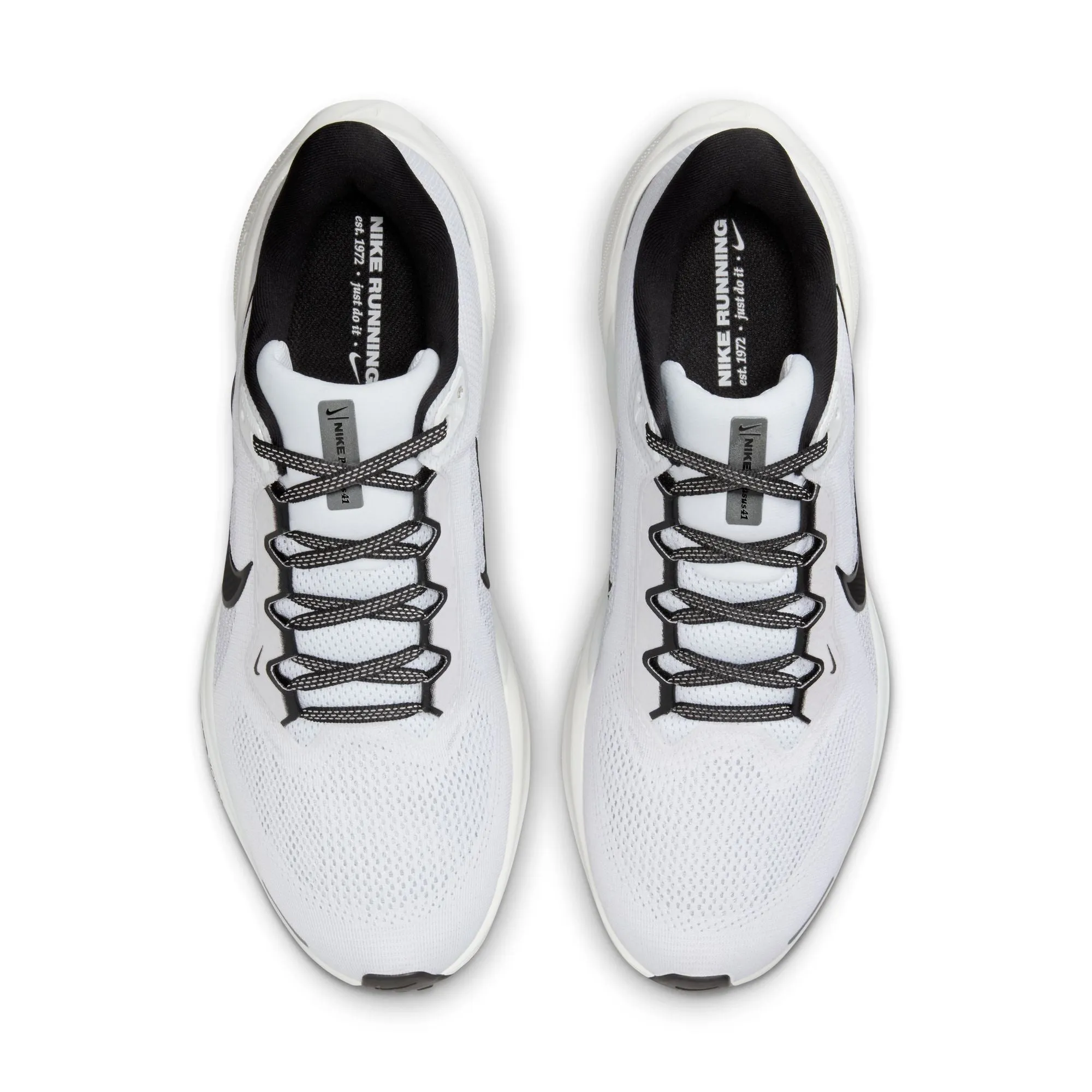 Pegasus 41