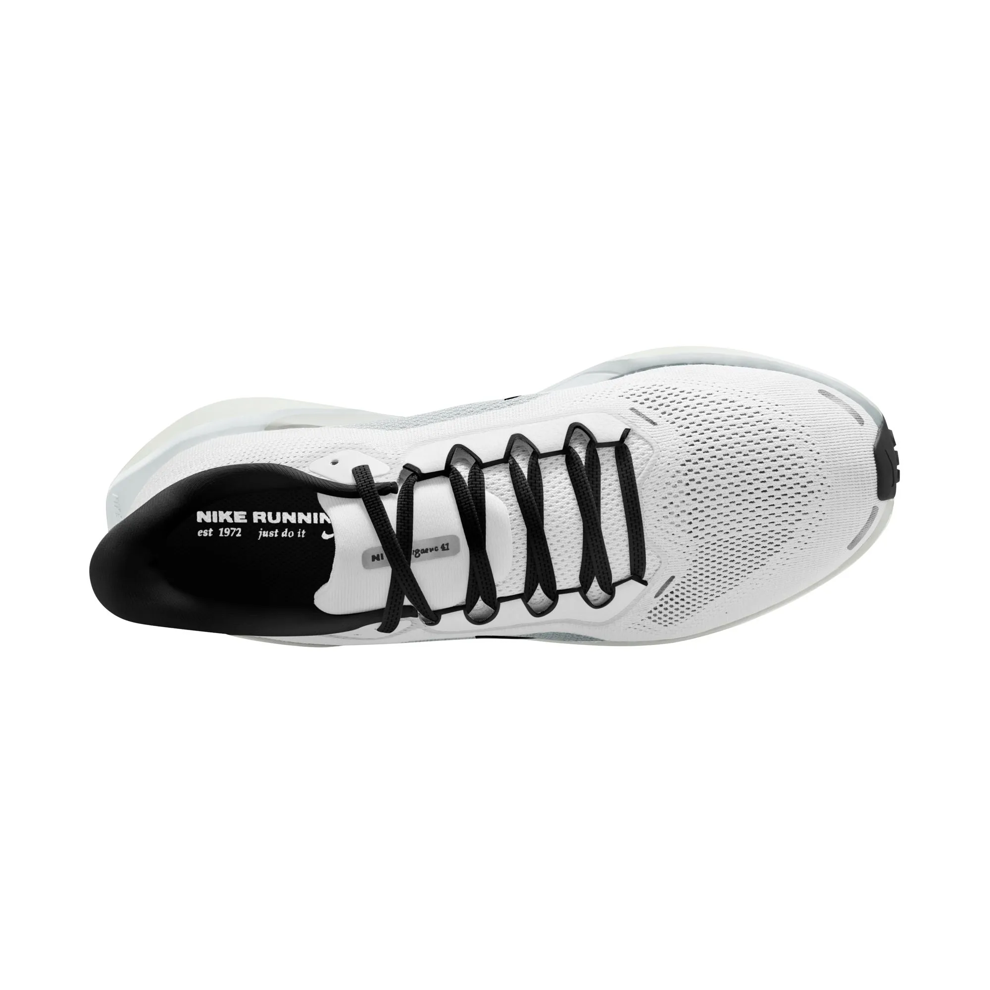 Pegasus 41